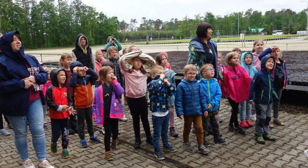 Wycieczka do szkółki leśnej w Miłogostowicach część II