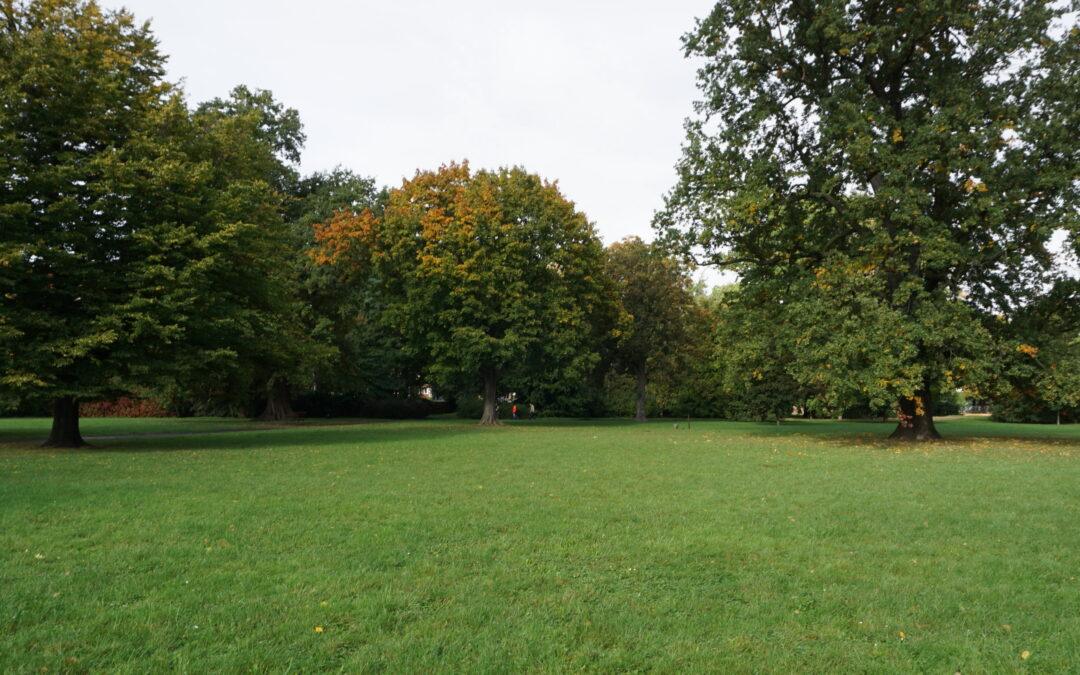 Nasze plany na listopad: