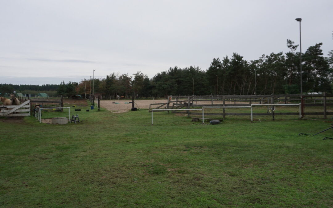 Stajnia White Pony – wycieczka